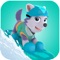 Snow Ski Game