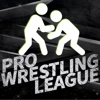 Wrestling League 2017