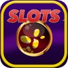 CASINO Gold Coins - Spin & Win!
