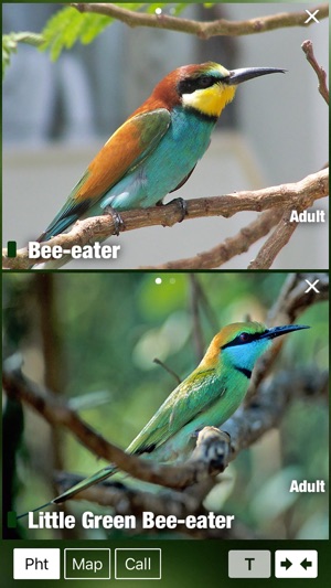 BIRD SONGS Europe, North Africa + Middle East(圖4)-速報App