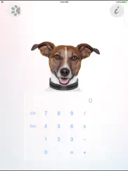 calculator pets hd айпад изображения 3