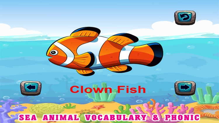 Sea Animals Kids Coloring Pages - Vocabulary Games screenshot-3