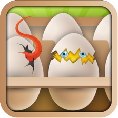 Activities of Tap Tap the Eggs