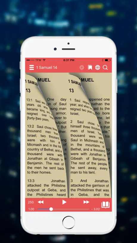 NRSV Bible