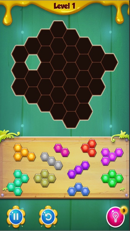 Hexa Mania Puzzle: Relaxing