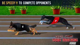 Game screenshot Crazy Dog Racing Fever mod apk