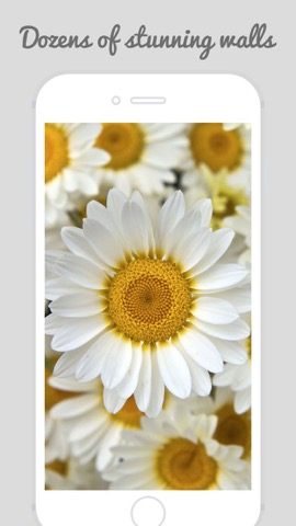 HD Flower Wallz - Flowers for Home & Lock Screensのおすすめ画像4