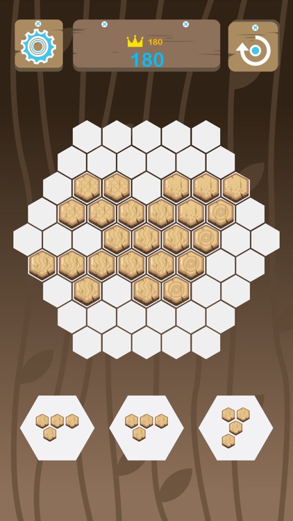 Wooden Jigsaw 10 by 10 - Color 6 Switch Socratic screenshot-4