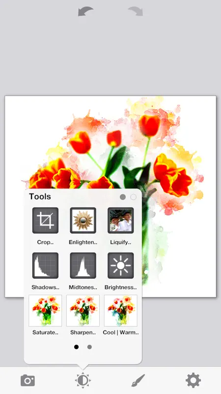 PhotoViva - Paintings from your photos! screenshot 2 of 5