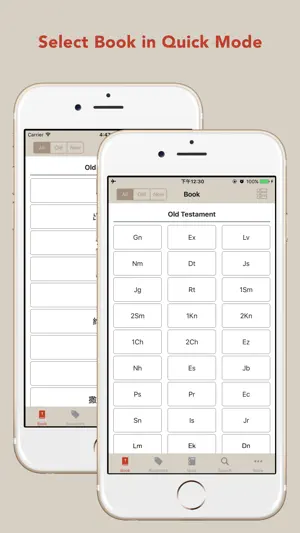 Chinese & English Bible Lite screenshot 3