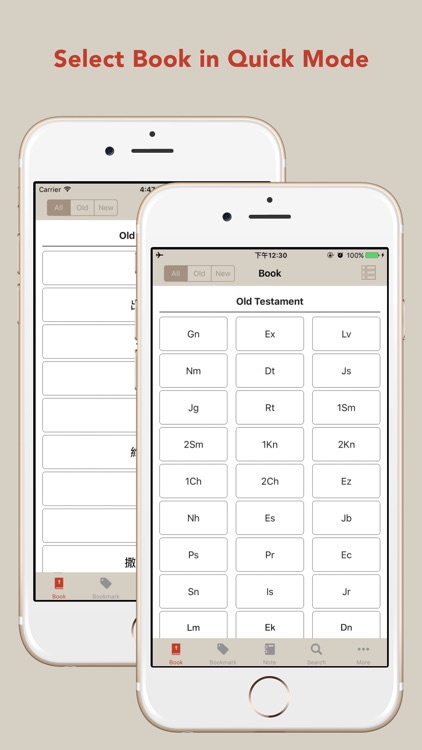 Chinese & English Bible Lite