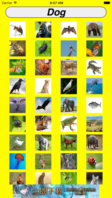 Screenshot #1 pour 認識動物集