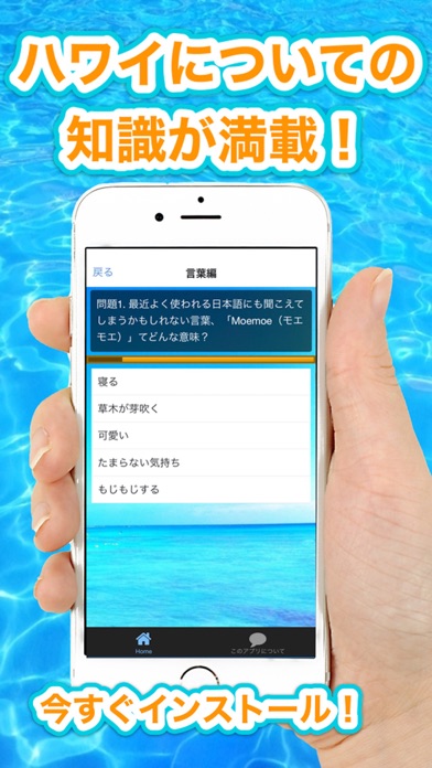 ハワイクイズ screenshot 2
