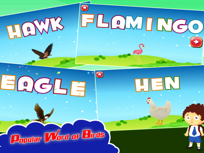 Kids Spelling Learning Birds - Phonics Words Free