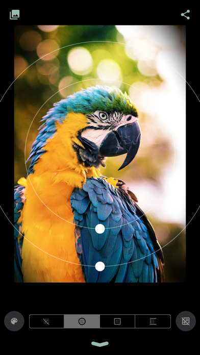 Snapick iPhone screenshot 5 - Photo & Video app