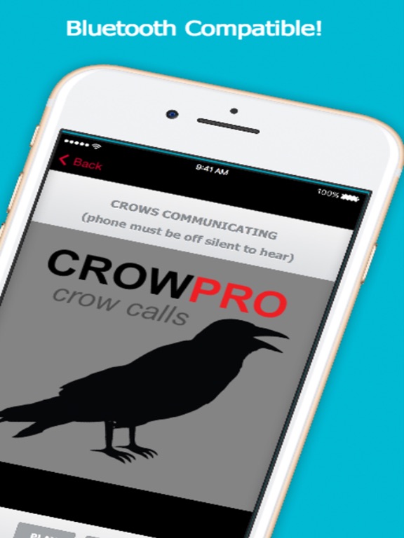 Screenshot #5 pour Crow Calls for Hunting
