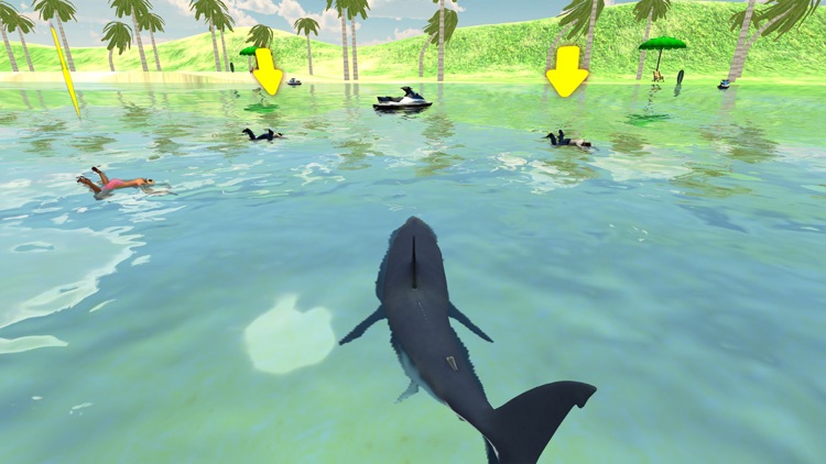 Shark Hunting Attack