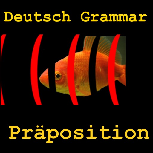 Deutsch Grammar Präpositionen iOS App