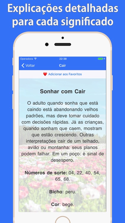 Significado dos Sonhos