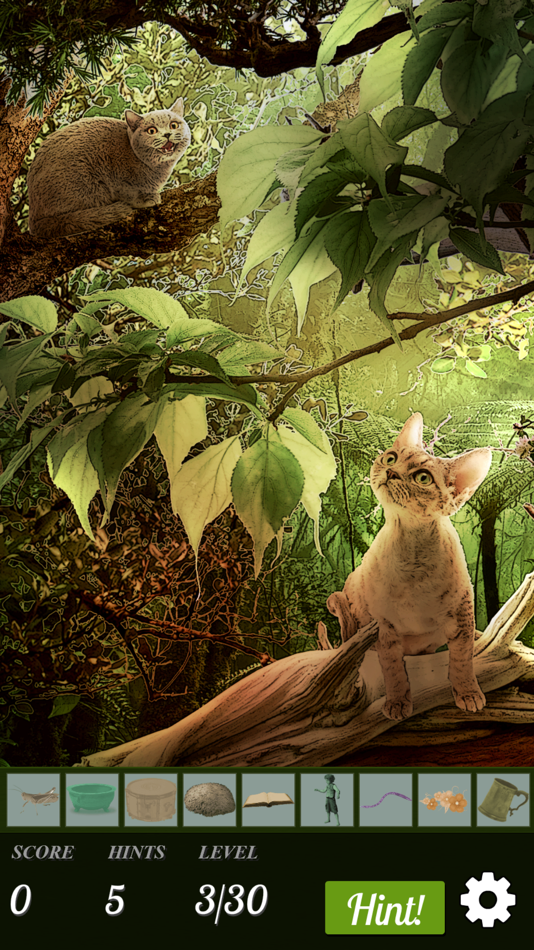 #3. Hidden Object - Cats Island (iOS) 由: Difference Games