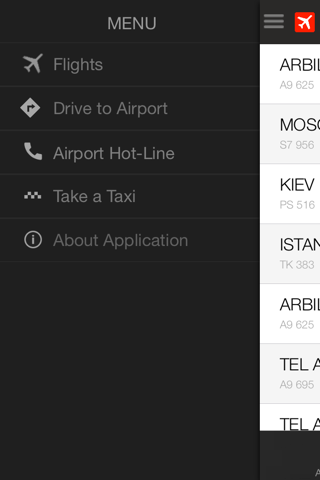 Tbilisi Airport screenshot 3