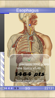 Speed Anatomy (Quiz) screenshot 2