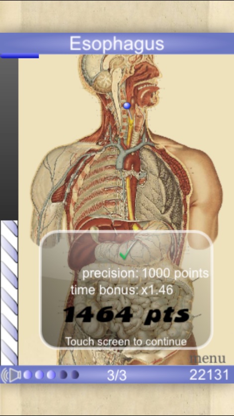 Speed Anatomy (Quiz) - Application Éducation | MWM