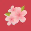 Cherry Blossom Stickers by Kappboom problems & troubleshooting and solutions