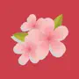 Cherry Blossom Stickers by Kappboom