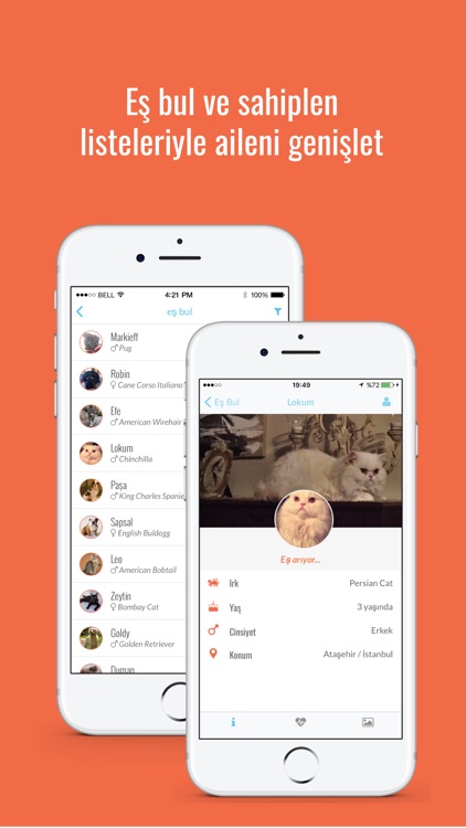 Petkarne screenshot-3