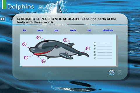 BottlenoseDolphin screenshot 2