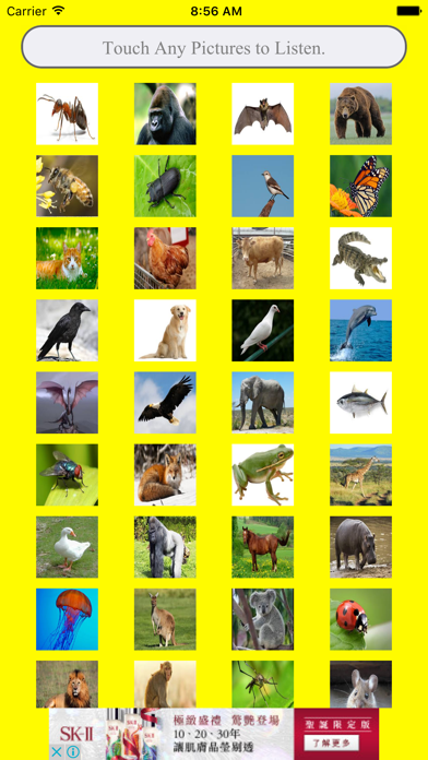 Screenshot #2 pour 認識動物集