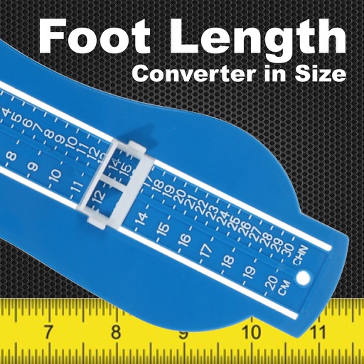 Foot Length Converter in Size Lite