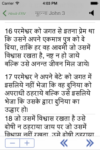 Mobile Hindi Bible screenshot 2