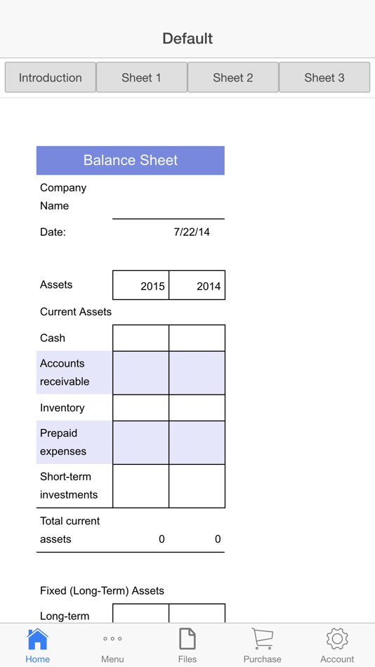 Balance Sheet - 9.0 - (iOS)