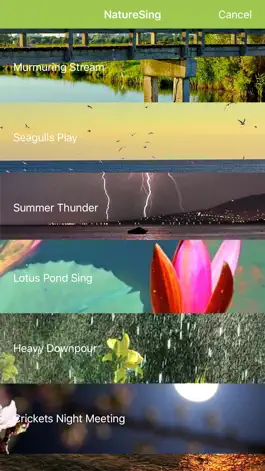 Game screenshot NatureSing--Best nature sounds hack