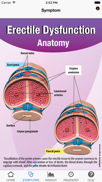SS Erectile Dysfunction