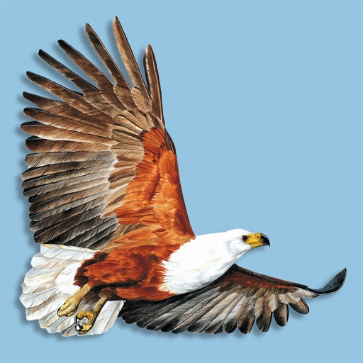 Roberts VII Multimedia Birds of Southern Africa icon
