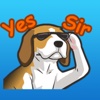 Funny Beagle Dog Stickers