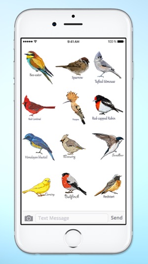 Bird Watching Hand Drawn Birds(圖3)-速報App
