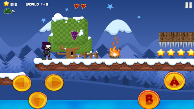 Ninja Assassin Adventure