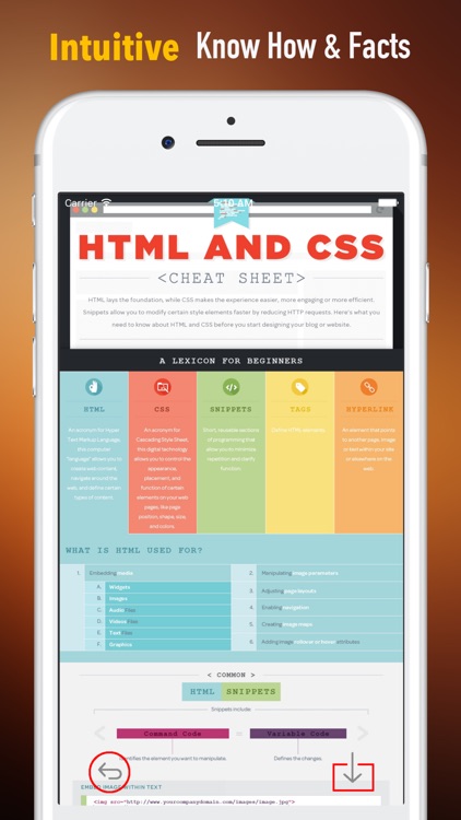 HTML and CSS Build Websites-Beginners Tips