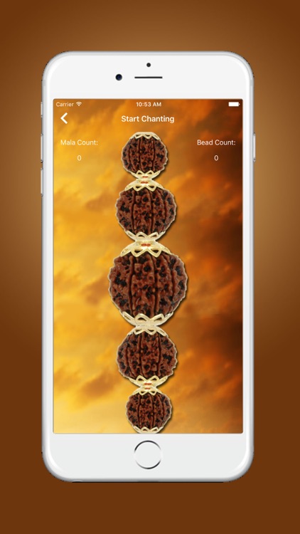 iNitnem Pro screenshot-4