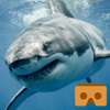 VR REALITY SHARKS - VR Apps with Google Cardboard