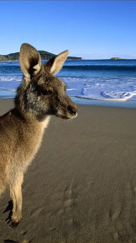 Australia