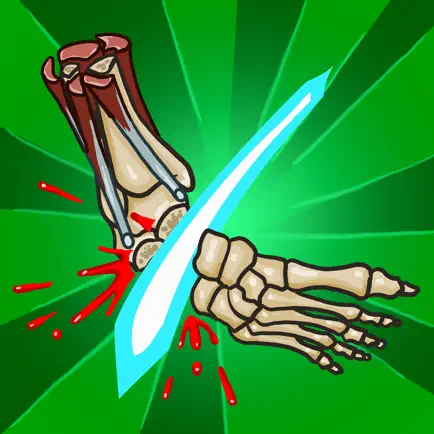 Anatomy Ninja Lower Limb Cheats