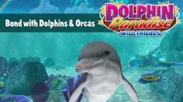 dolphin paradise - all access iphone screenshot 1