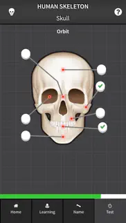 human skeleton: bones for beginners iphone screenshot 4