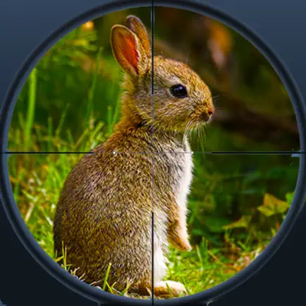 Jungle Rabbit Hunting 3D pro-Extreme Hunter 2017 Cheats