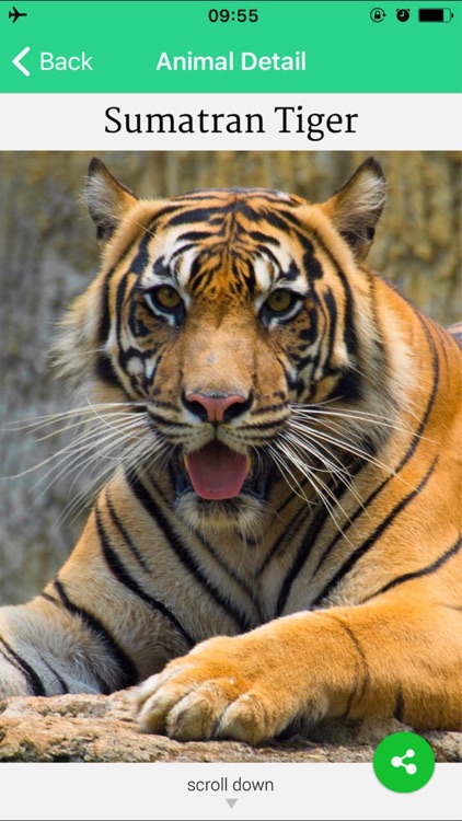 Ragunan Zoo screenshot-3